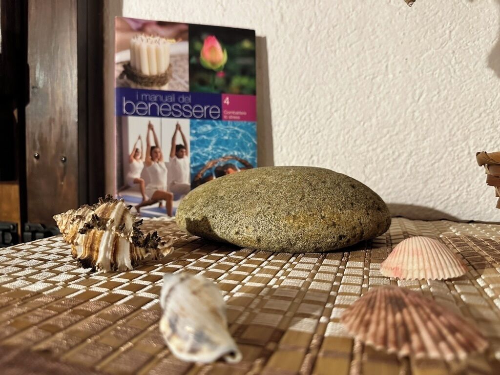 Una mesa con textura, un libro titulado "Manual del benessere" y diversas conchas marinas.