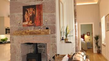 TV connectée, cheminée, lecteur de DVD, livres