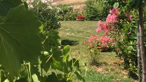A garden with a grassy lawn, various flowering plants, and a distant view of rolling hills. - Near San Gimignano Restored Air Conditioned Apartment with WiFi, Pool & Garden (San Gimignano Toscana)