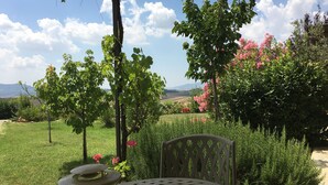 A garden patio with a table and chairs, surrounded by lush greenery and flowering plants. - Near San Gimignano Restored Air Conditioned Apartment with WiFi, Pool & Garden (San Gimignano Toscana)