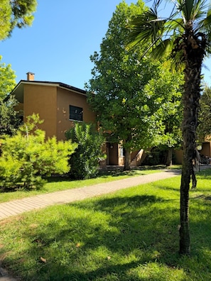 Esterni