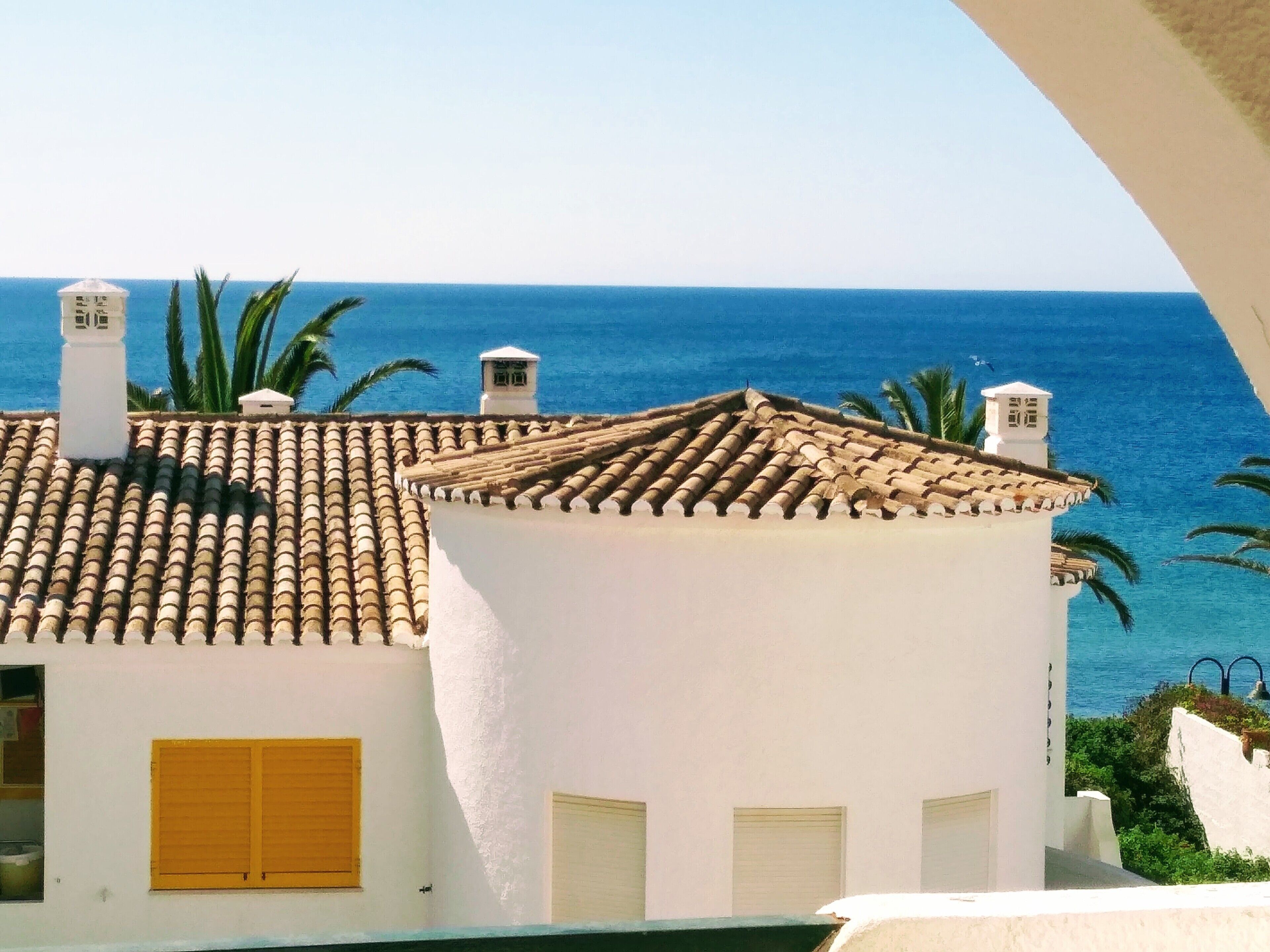 Magnificent apartment facing the ocean
