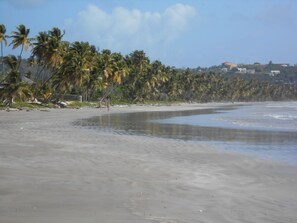 Beach nearby, sun-loungers, beach towels