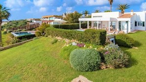 Une maison moderne dotée d’une pelouse bien entretenue, d’une piscine et de diverses plantes.