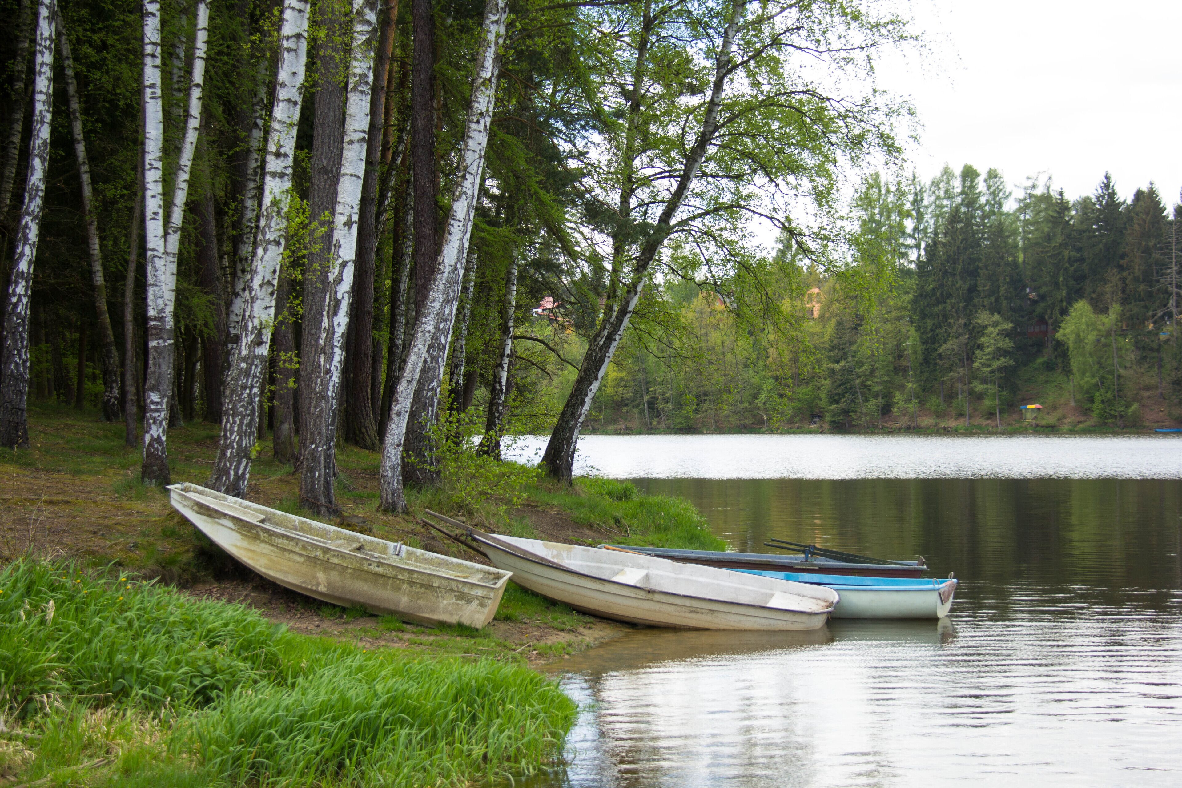 Un lago tranquilo con dos barcos amarrados a la orilla, entre abedules.
