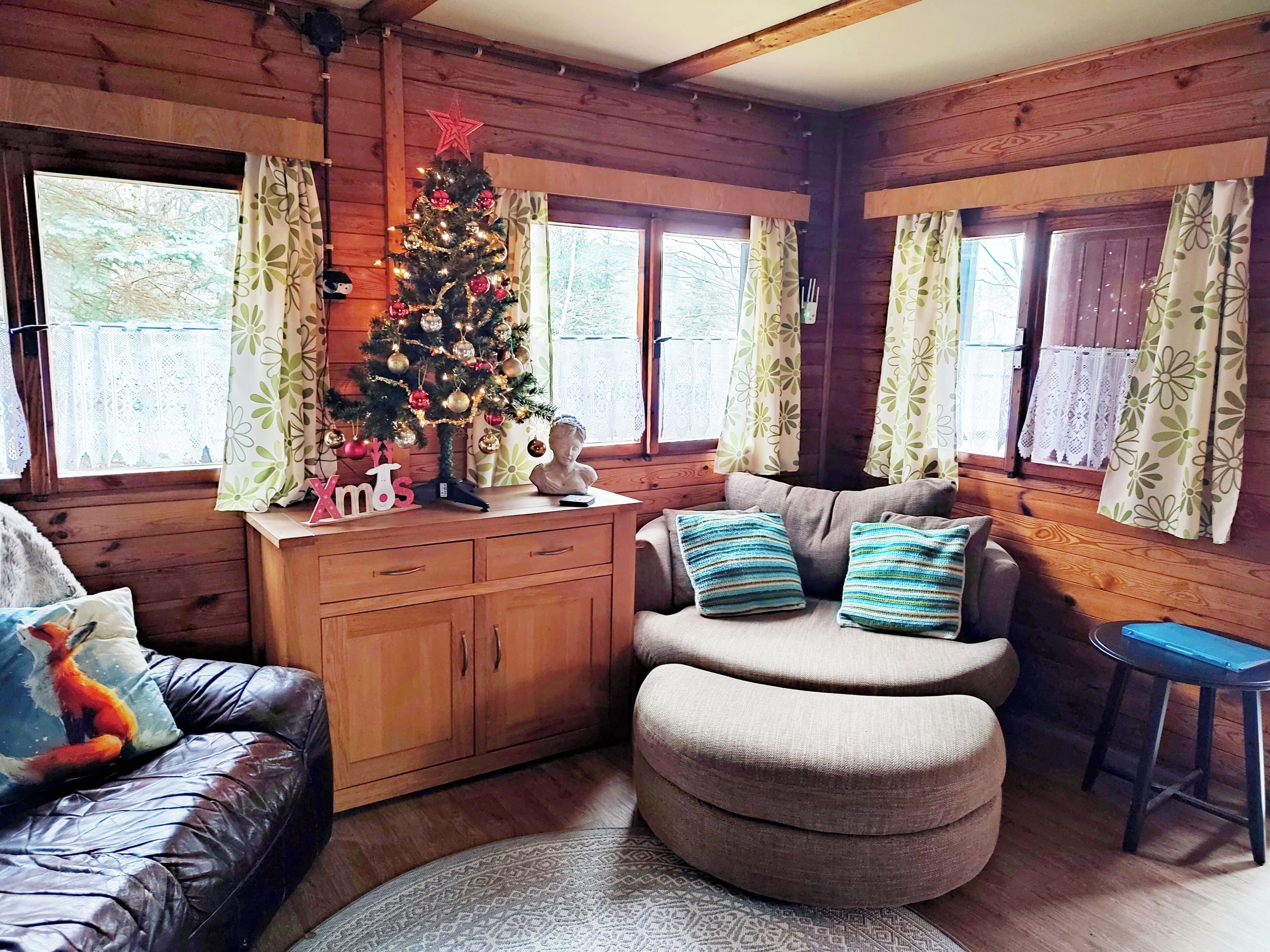 电视、  壁炉、电子游戏、DVD 播放器