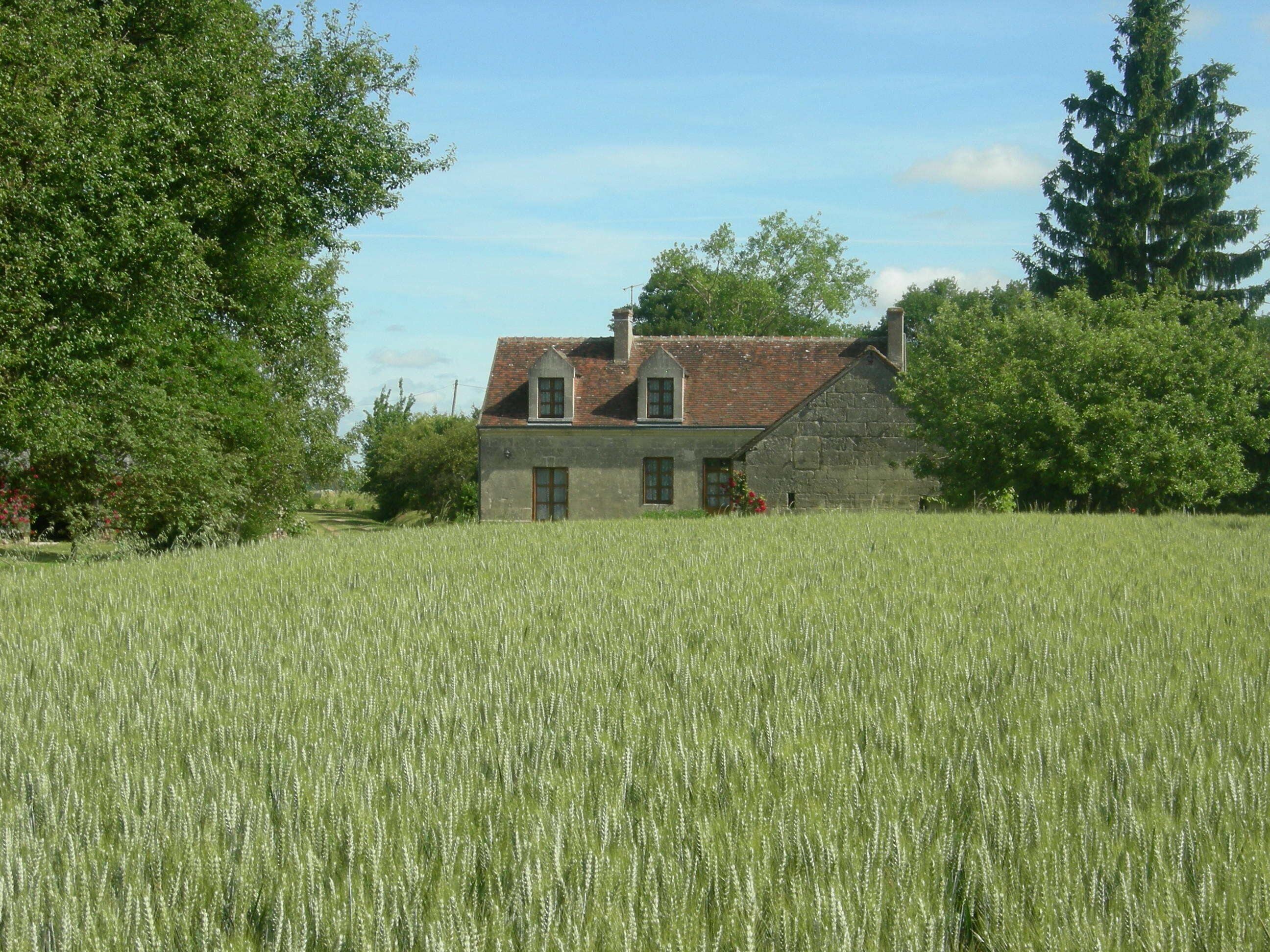 Au milieu de la nature