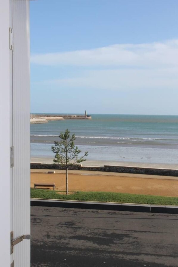 A view from inside a building to a beach with a bench and a small tree.