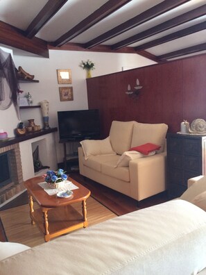 TV, fireplace, books