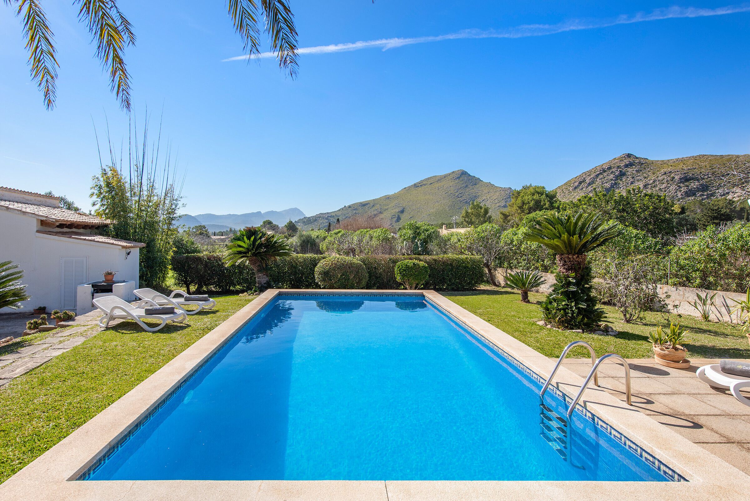 A rectangular swimming pool with a clear blue water surface, surrounded by a well-maintained lawn and various plants.