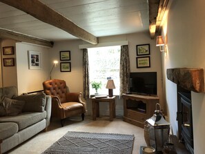 TV, fireplace, books, stereo