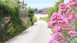 A narrow road flanked by lush greenery and pink flowers, leading to a beach with a person in the distance. - A Delightful 19th Century Beamed Cottage In Trevone Bay, 3 Mins From The Beach (Padstow)