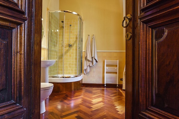 Shower, hair dryer, bidet, towels
