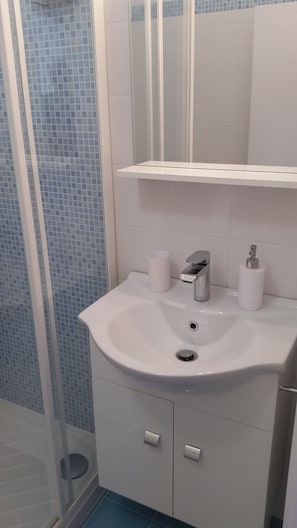 Shower, hair dryer, bidet, towels