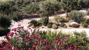 Un paysage côtier caractérisé par une végétation variée, comprenant des arbres et des arbustes, ainsi qu’un bâtiment doté d’un toit plat.