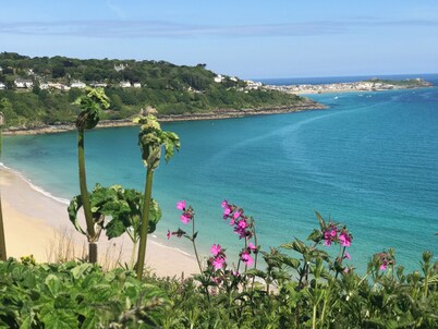 Luxury 2 Bed 2 Bathrooms Apartment Carbis Bay - Seaviews from all rooms!