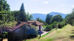 A rustic house with a tiled roof, surrounded by lush greenery and a mountain in the background. - Totally private cottage with own pool, amazing views and close to Barga!  WIFI (Barga)