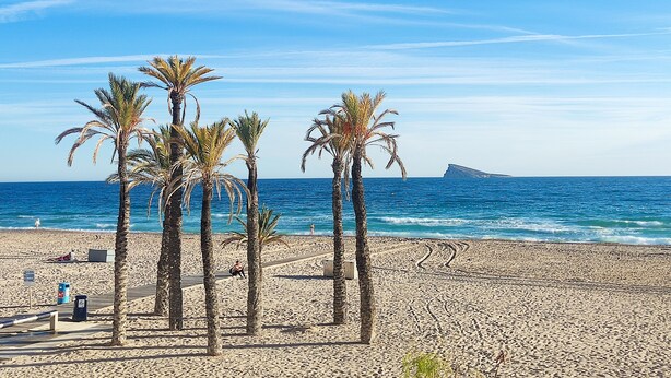 Ein Strand mit Palmen, einem klaren Himmel und einer in der Ferne liegenden Felsformation.