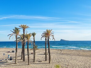 A beach with palm trees, a clear sky, and a distant rocky outcrop.