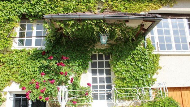 A building with ivy-covered walls and a window with a white frame. - Holiday Home with Large Private Pool And Hill Views In The Heart Of The Dordogne (Condat-Sur-Vézère)