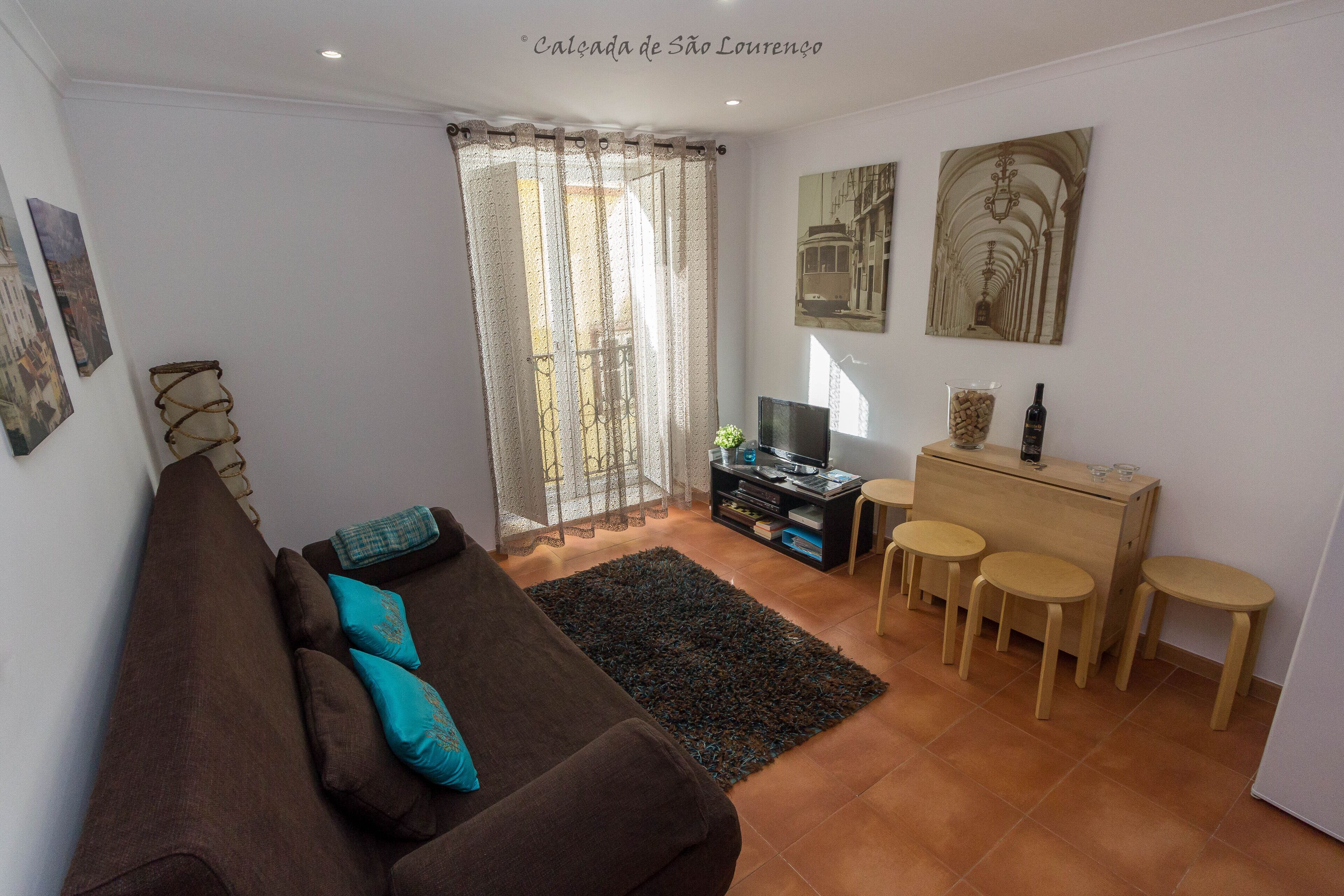 Televisión, reproductor de DVD y libros 