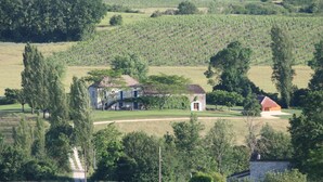 Paisaje rural con viñedo, una casa grande con tejado rojo y una pequeña construcción similar a una capilla.
