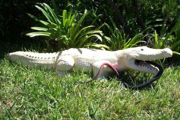 Terrain de lâhĂ©bergement