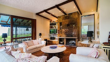 Smart TV, chimenea, reproductor de DVD y libros