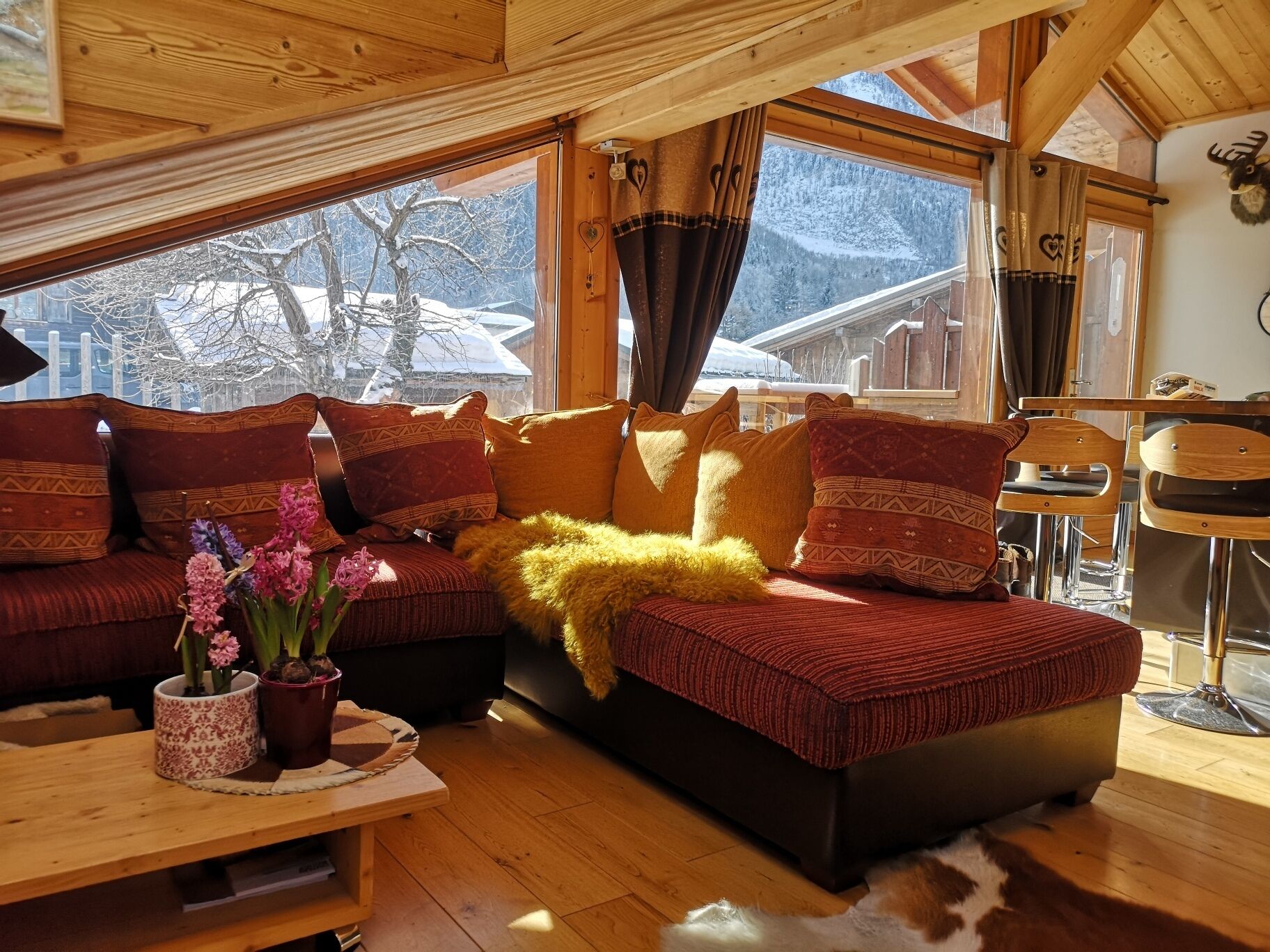 Fernseher, Bücher, Musikbibliothek, Videothek