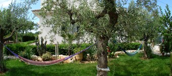 Villa Maria [Short Lets]