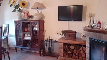 Smart TV, fireplace, table tennis, books