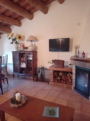 Smart TV, fireplace, ping pong, books