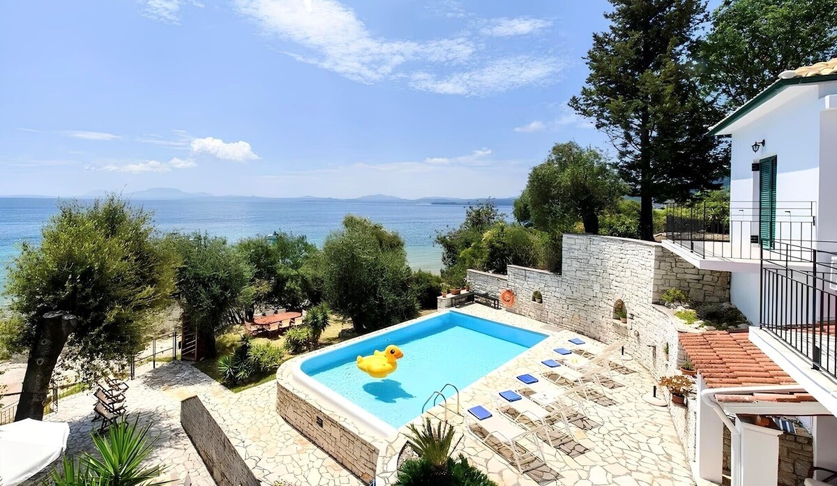 Imagen de perfil del propietario o de la propietaria