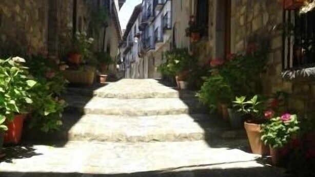 A narrow stone-paved street flanked by buildings with balconies and potted plants.
