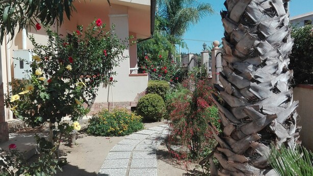A pathway leading to a building with a palm tree and flowering plants.
