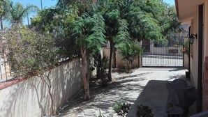 A narrow alleyway with a concrete path, surrounded by walls and trees.