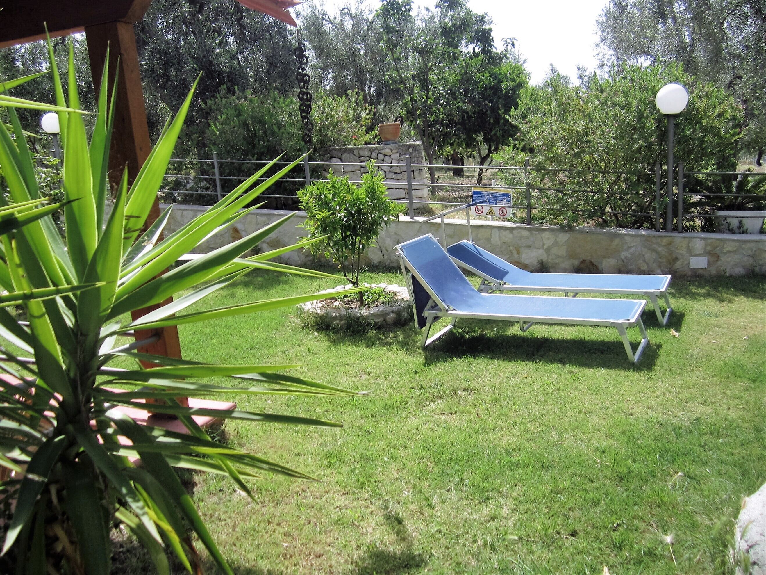 A grassy outdoor area with two sun loungers and a small tree.