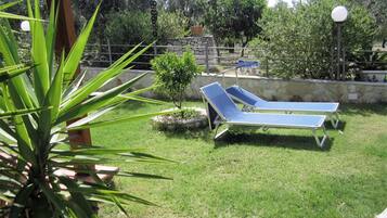 A grassy outdoor area with two sun loungers and a small tree.