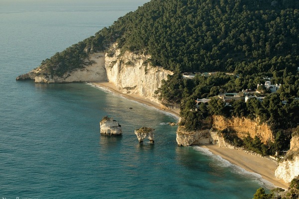 Beach nearby, sun loungers