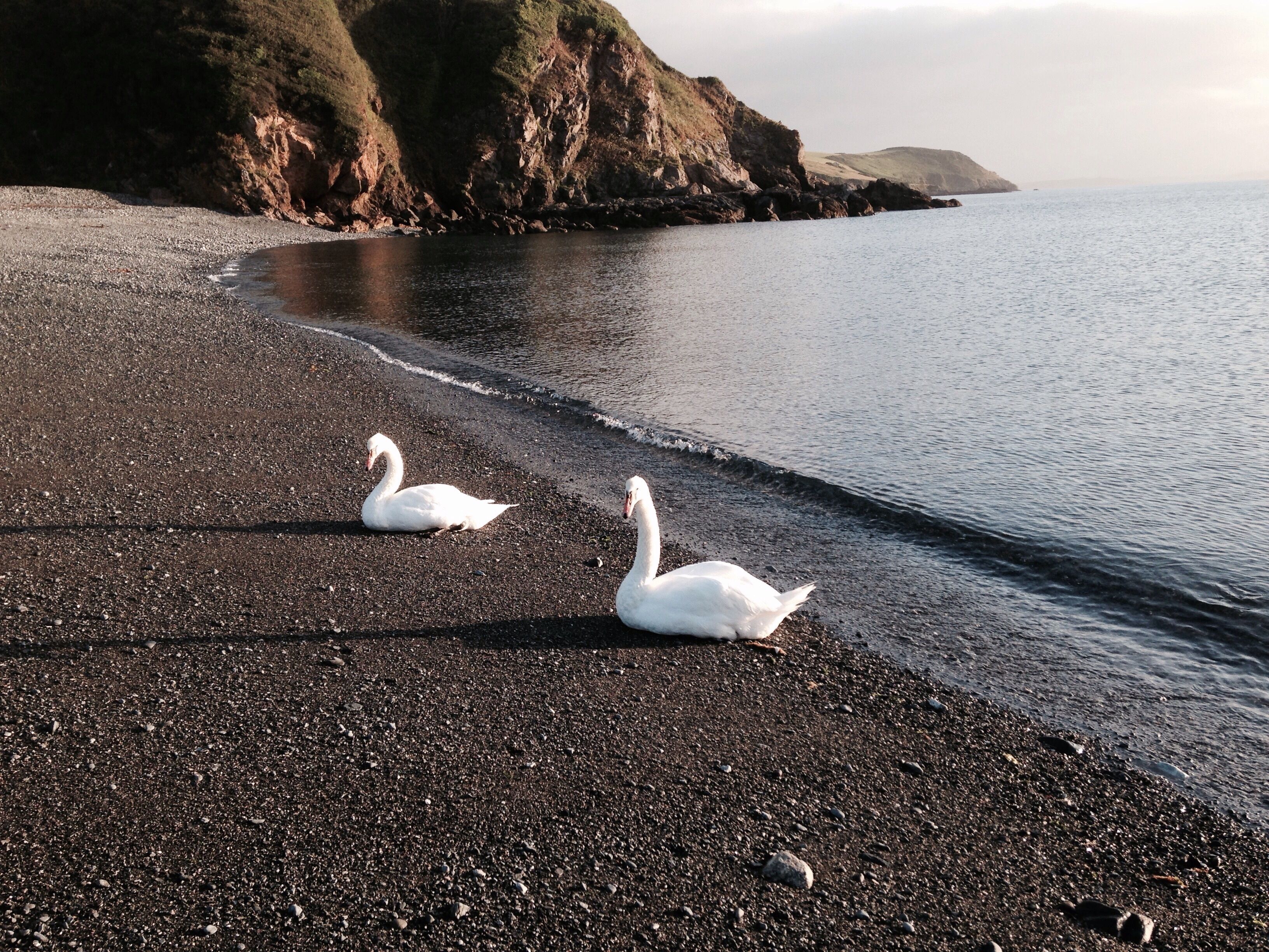 Cornish Cottage 100m from dog friendly beach+pub enclosed garden off rd parking