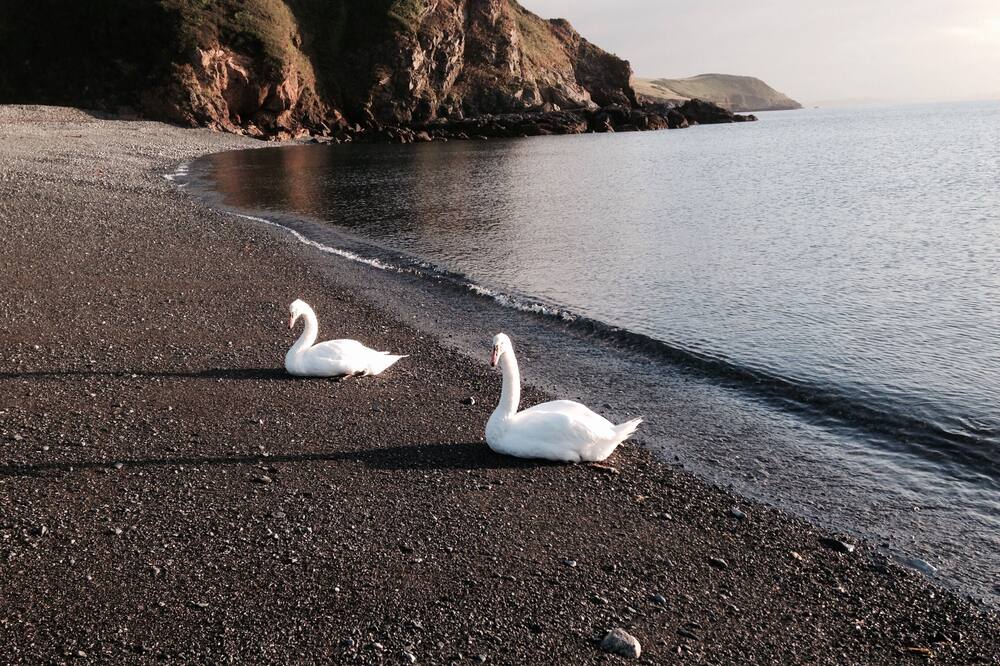 Cornish Cottage 100m from dog friendly beach+pub enclosed garden off rd parking