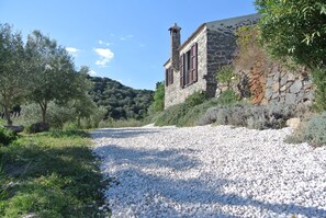 Ulkoalueet