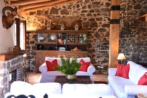 Fireplace, DVD player, books, stereo