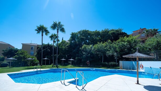 Una piscina con escalones y barandillas, rodeada de palmeras y un cielo azul despejado.