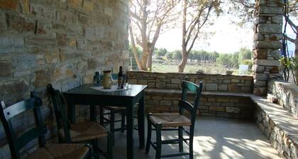 Perfect for a for a quiet relaxing vacation, very close to 2 of the best beaches