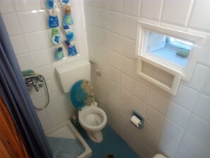 Shower, towels, shampoo, toilet paper