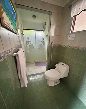 Ducha, secador de pelo, toallas, jabón