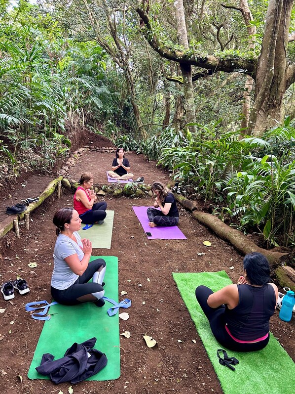 Jardines del alojamiento