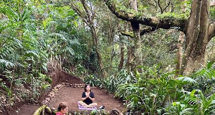 Gosén Mountain Room of luxury, peace and total tranquility! Close to the airport.