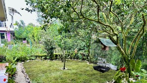 Un jardín bien cuidado con césped, un comedero para pájaros y diversas plantas.